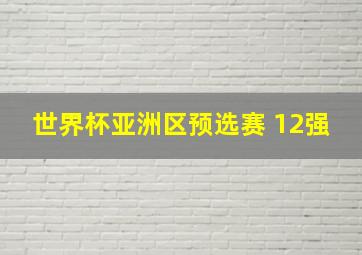 世界杯亚洲区预选赛 12强